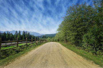 Fototapeta na wymiar Travel road on the field with green grass and blue sky with clouds on the farm in beautiful summer sunny day. Clean, idyllic, landscape with sun.