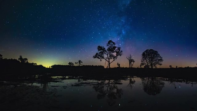 Timelapse of the Milky Way core sinking on the horizon with silhouetted trees and the reflections of a pond.