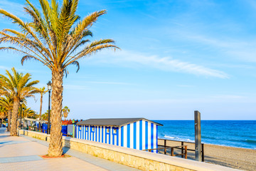 Palm tree on coastal promenade in Marbella town at sunset time, Andalusia, Spain