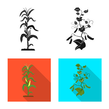 Vector design of greenhouse and plant logo. Set of greenhouse and garden vector icon for stock.
