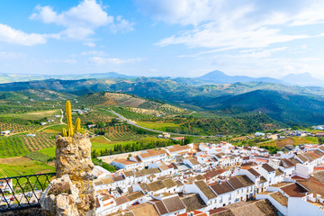 Fototapeta na wymiar View of Olvera village with white houses and mountains in background, Andalusia, Spain