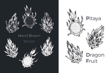 Hand drawn dragon fruit or pitaya vector icons