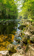 Fluss