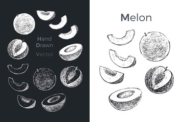 Hand drawn melon icons. Vector illustration - obrazy, fototapety, plakaty