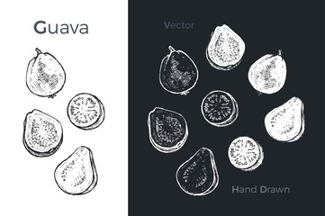 Hand drawn guava icons. Vector illustration