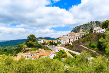 Fototapeta na wymiar White mountain village of Grazalema in spring season, Andalusia, Spain