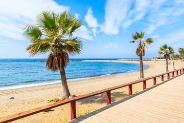 Coastal walkway and palm trees on beach in Marbella town, Spain