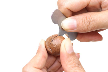 Hand using a nut cracker tool with macadamia nuts isolated on white background
