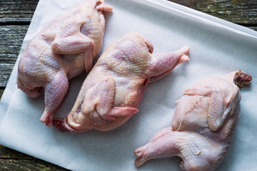 Three raw quail carcasses on paper top view