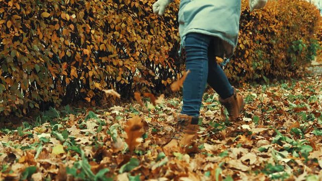 A girl dressed in a parka and brown boots walks on dry, fallen oak leaves in the fall for a walk on the background of red bushes.