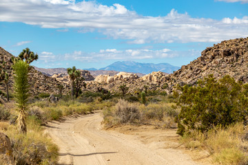 A dusty road in Joshua Tree National Park