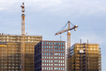 Cranes towering over high rise modern buildings in scaffolding with a blue sky background in the Dutch city of Rotterdam © Maarten Zeehandelaar