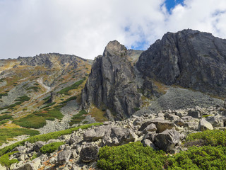 Beautiful sharp mountain peaks with pine trees, High Tatras mountain, Slovakia, late summer sunny day, blue sky background