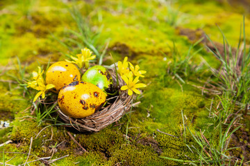 Colorful Easter eggs