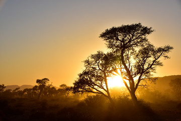 Fototapeta na wymiar Sonnenaufgang im Namib-Naukluft National Park Namibia