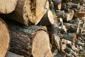Stocking up of firewood. Pile of round wood logs ready for winter , Stack of firewood. Spruce wood background