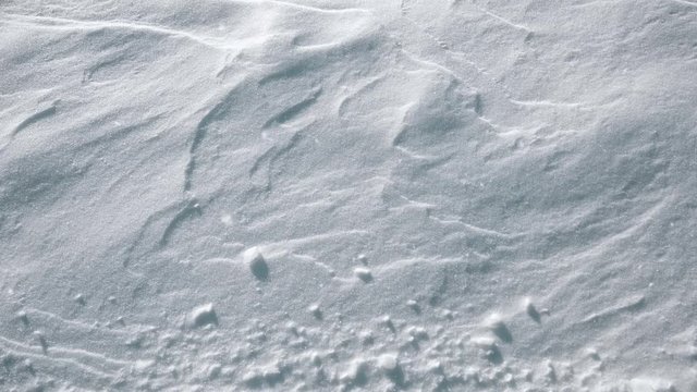Sunny fresh snow texture close-up backgrounds with falling snowflakes.