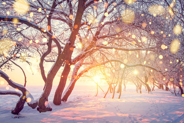 Christmas holiday background. Winter nature landscape in shining bokeh.