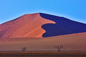 Düne in der Namib Wüste Namibia
