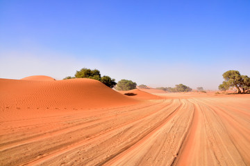 Fototapeta na wymiar Strasse in der Namib Wüste Namibia