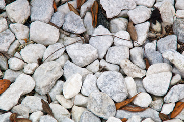 Looking down at White marble stones filling this background image with some dead leaves.