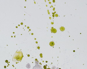 Photo of Watercolor texture on paper close-up
