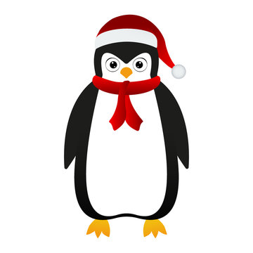 Penguin santa in a cap and scarf 