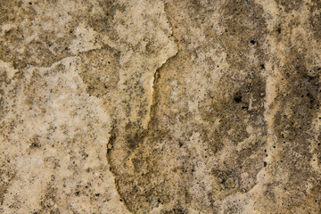 textura piedra