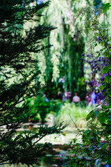 Beautiful Garden of Giverny of Monet