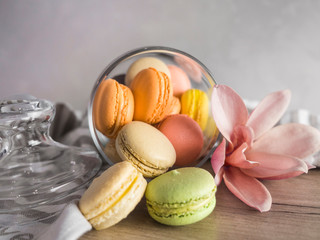 French assorted macarons with pink flower on light gray concrete background. Holidays food concept with copy space. Colorful macaron cookies. Colorful macarons, French delicate dessert.