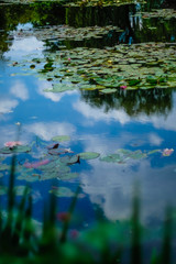 Beautiful Garden of Giverny of Monet
