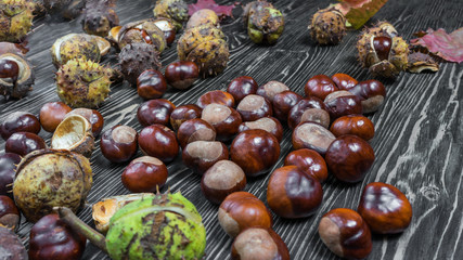 pile of aesculus hippocastanum or conker tree nuts on wooden table