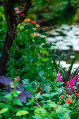 Fototapeta na wymiar Beautiful Garden of Giverny of Monet