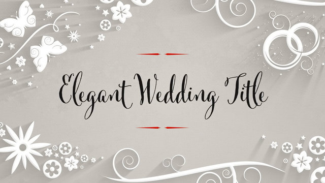 Elegant Wedding Title Sequence and Transitions