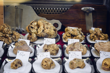 White Truffles (Tuber Magnatum Pico) on a trader stall of the Fiera del Tartufo (Truffle Fair) of Alba, Piedmont (Italy), most important international truffle market in the world