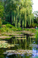 Sea rose lake in Giverny Garden of Monet