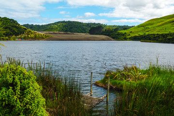 Landscape Scenery of Waimanu Lake, Bethells Beach Auckland New Zealand