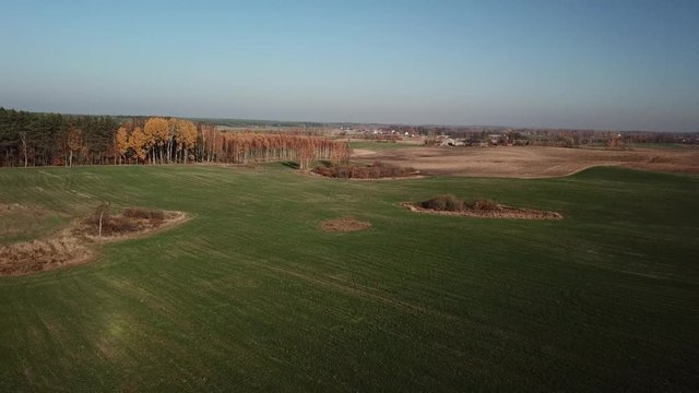  krajobraz las drzewa natura jesień krajobraz pola łąki 