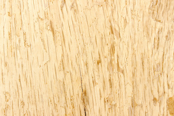 Oak wood surface texture vertical lines