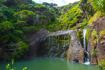 Peaceful Place and Calm Water at Waimanu Waterfalls Bethells Beach Auckland New Zealand