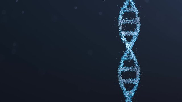 DNA double helix rotating against dark blue background. Copy space on the left.