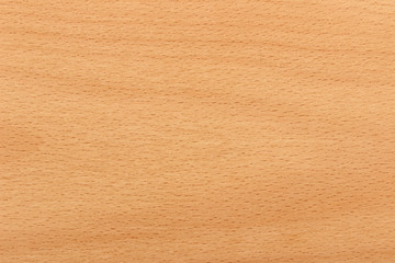 Red beech wood texture surface detail - obrazy, fototapety, plakaty