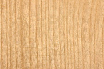 Ash wood texture surface detail