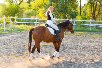 Girl equestrian rider riding a beautiful horse  in the rays of the setting sun. Horse theme