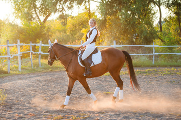 Girl equestrian rider riding a beautiful horse  in the rays of the setting sun. Horse theme