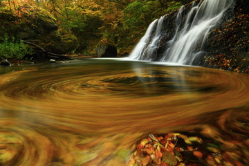 Fototapeta na wymiar 紅葉の滝
