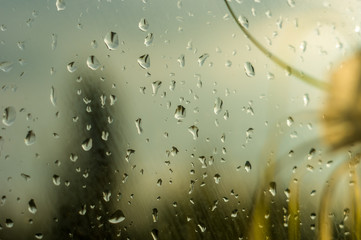 raindrops on window glass on background of cloudy sky