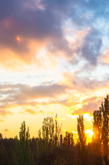 Obraz premium Landscape with dramatic light - beautiful golden sunset with saturated sky and clouds.