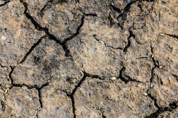 tierra seca
