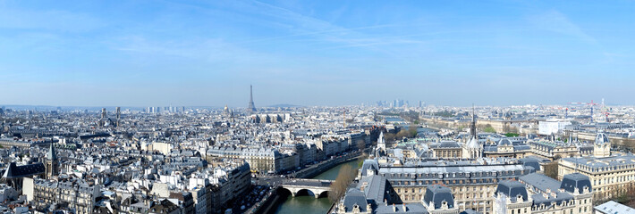 View over Paris towards Eiffel Tower from Notre Dame